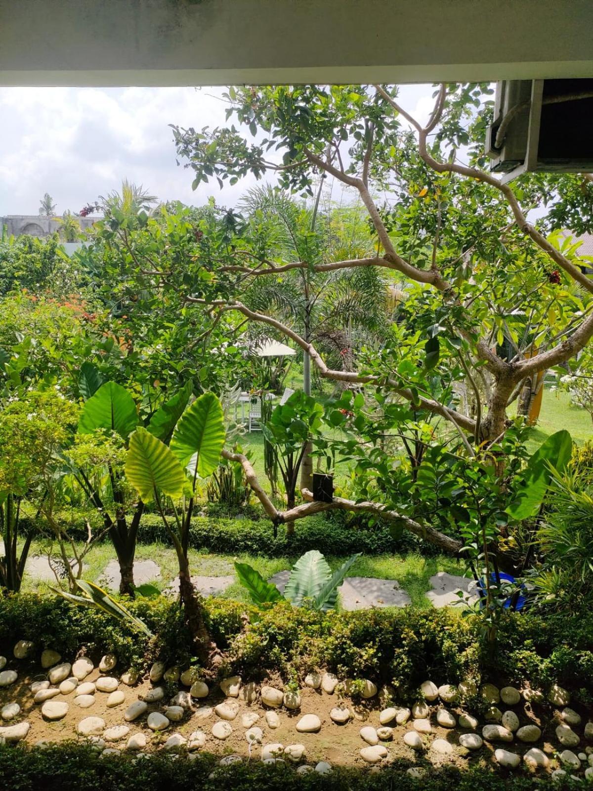 Villa Lotus 8 Canggu Εξωτερικό φωτογραφία