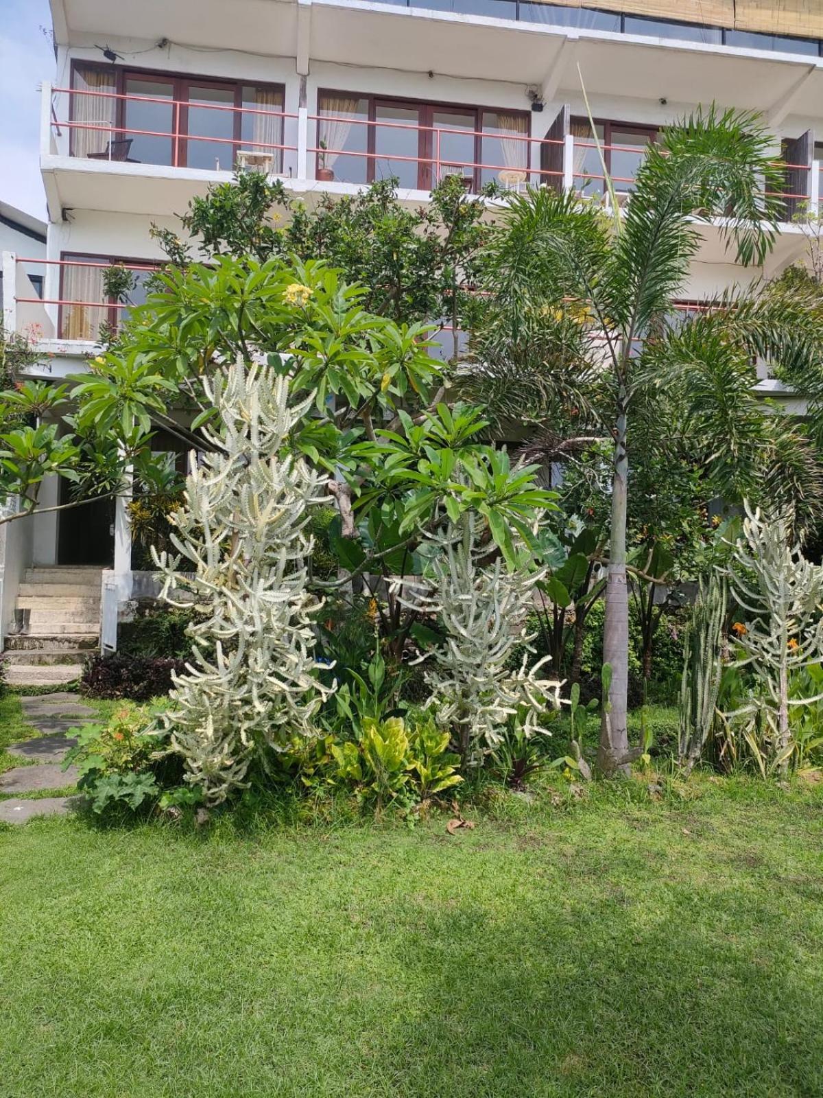 Villa Lotus 8 Canggu Εξωτερικό φωτογραφία
