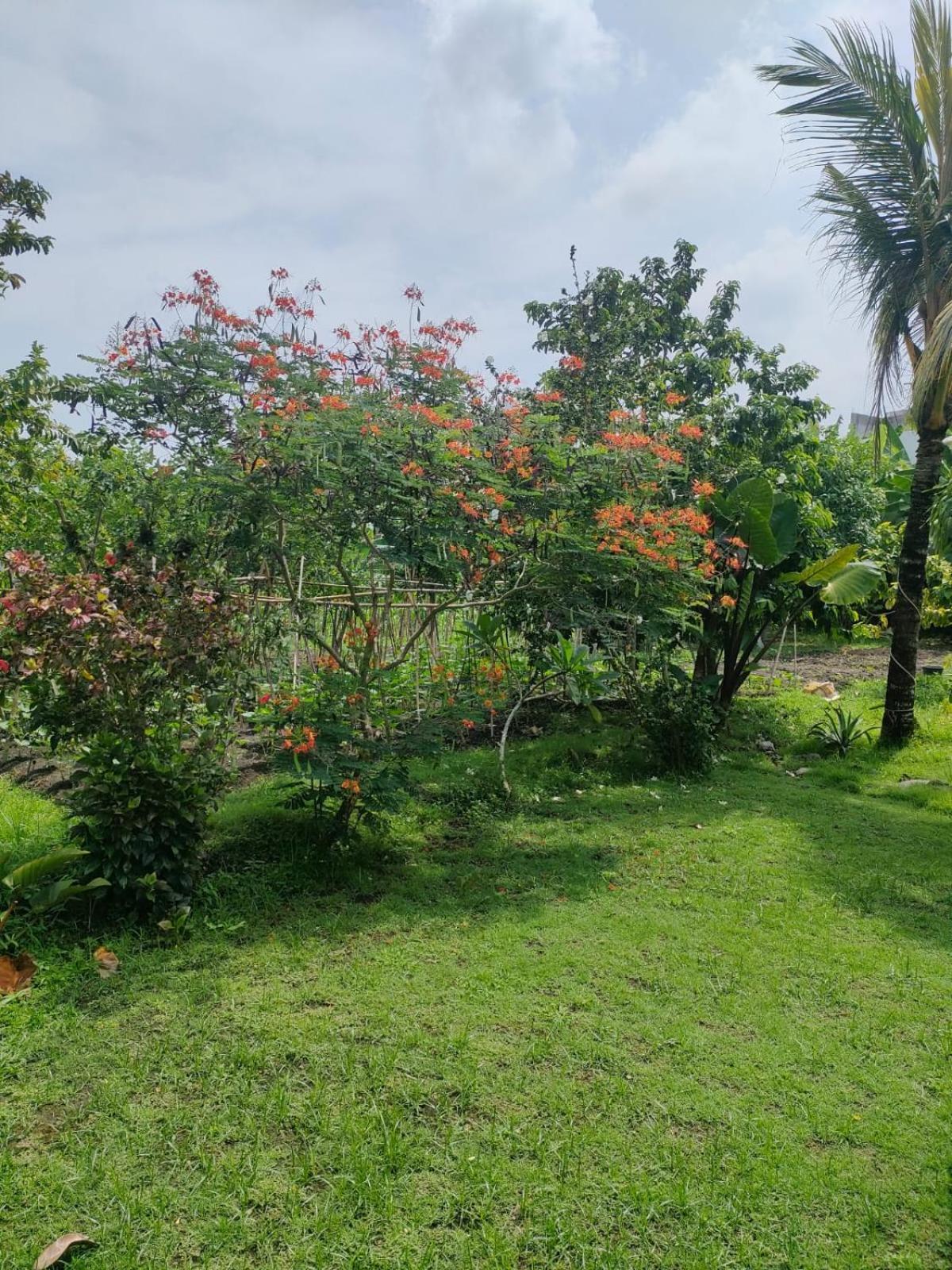Villa Lotus 8 Canggu Εξωτερικό φωτογραφία