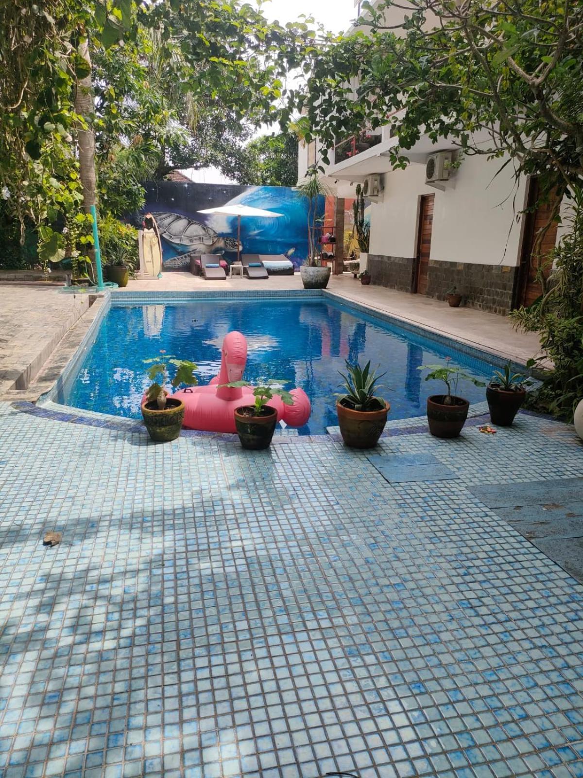 Villa Lotus 8 Canggu Εξωτερικό φωτογραφία