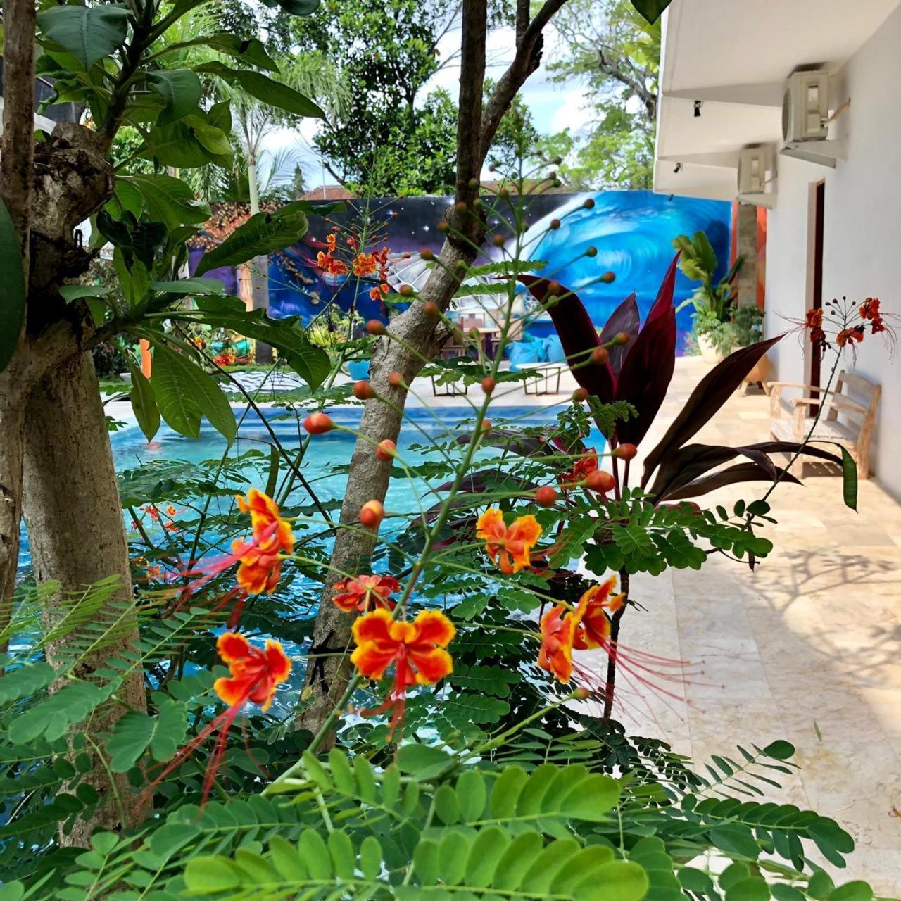 Villa Lotus 8 Canggu Εξωτερικό φωτογραφία
